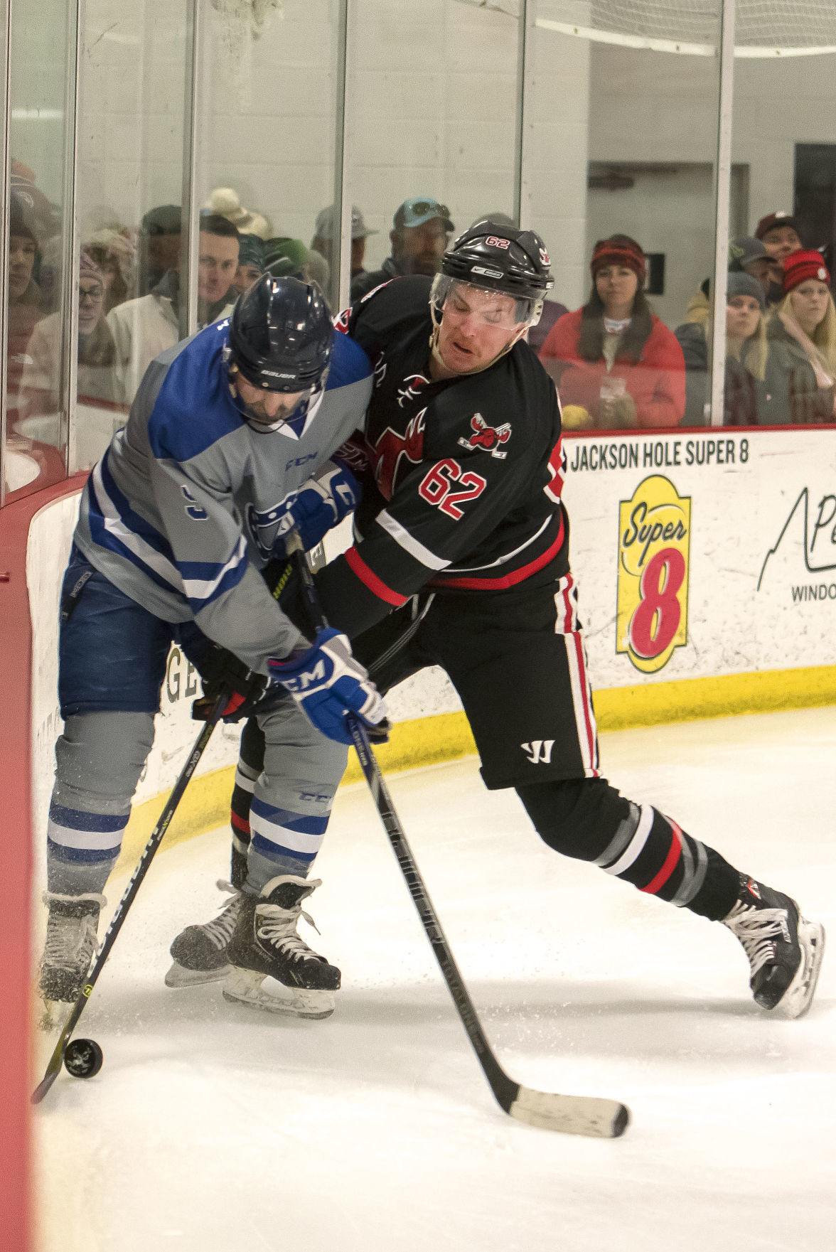 Moose hockey